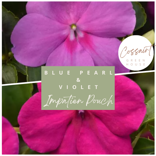 Impatien Pouch